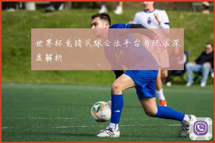 世界杯竞猜买球合法平台与玩法深度解析