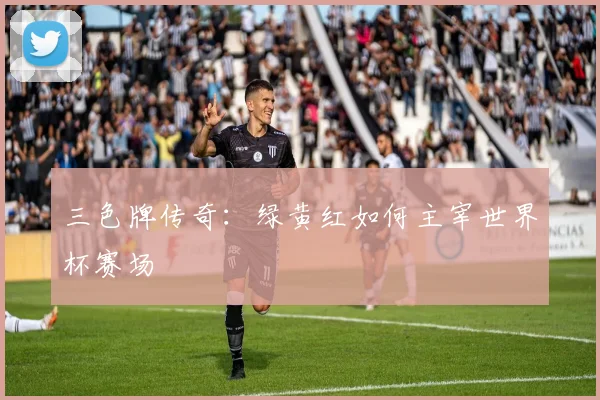 三色牌传奇：绿黄红如何主宰世界杯赛场
