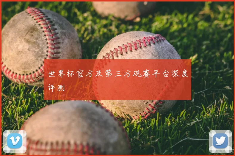 世界杯官方及第三方观赛平台深度评测